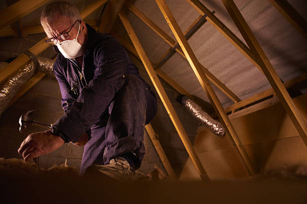 Best Commercial Insulation in Garden City Park, NY